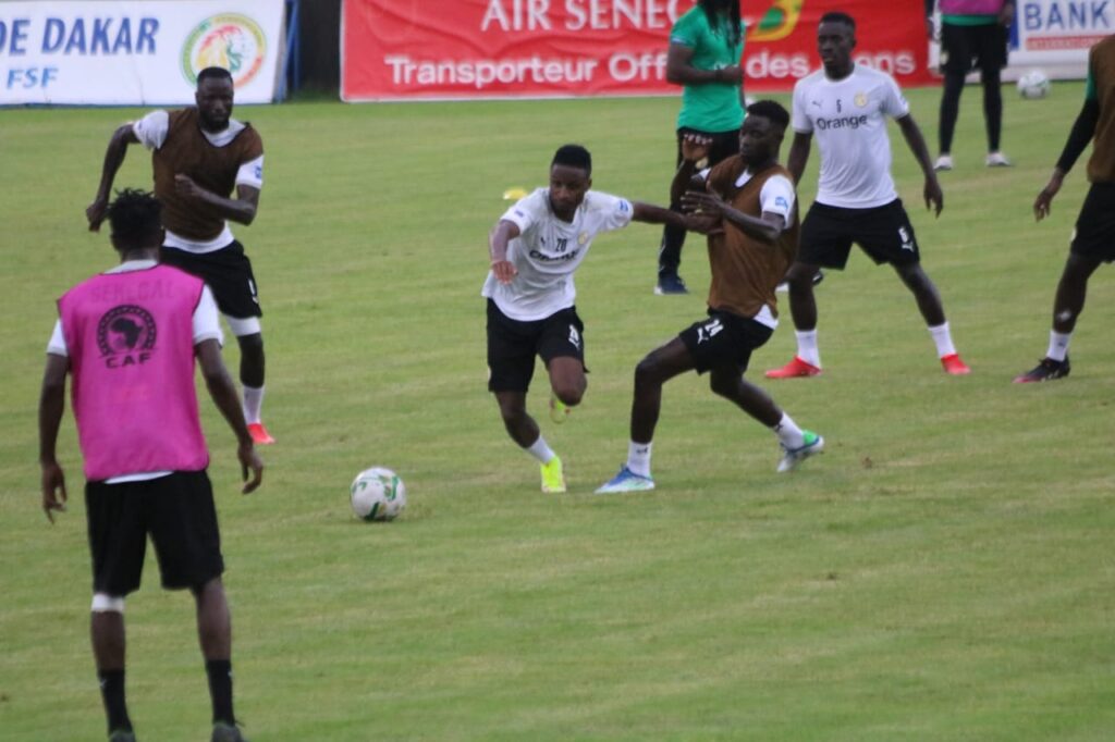 En Images Revivez la séance d entrainement des Lions du jour