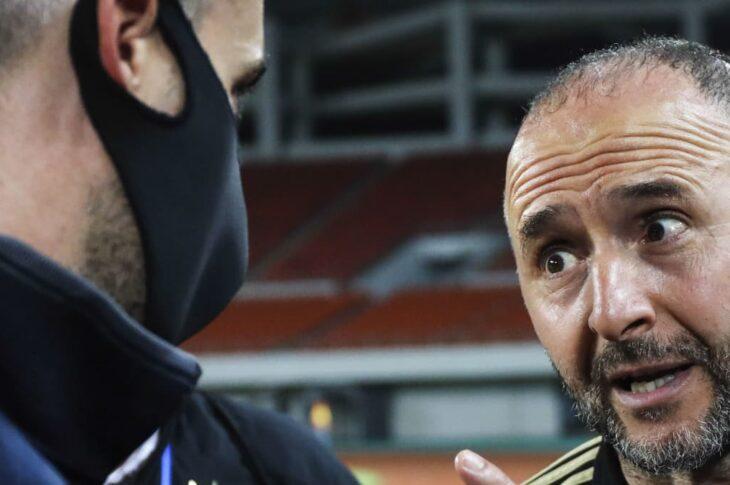 belmadi arbitre